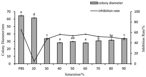 New Strain of Bacillus amyloliquefaciens G1 as a Potential Downy Mildew ...