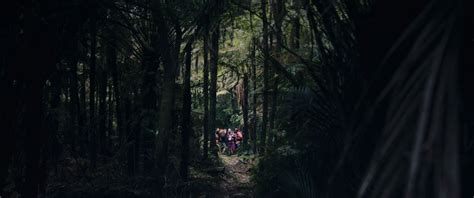 Image result for Loop Track Movie Review