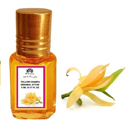 Mayin Natural Yellow Champa Attar Perfume for Men and Women, 5 ml ...
