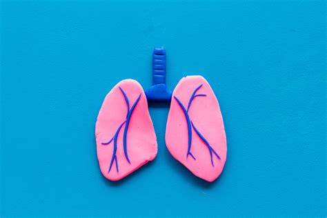 Palliative Behandlung der Dyspnoe - Häusliche Pflege