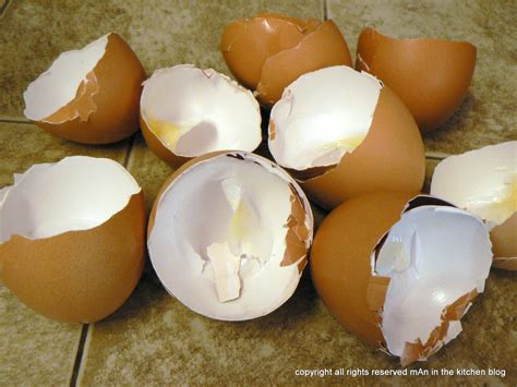 Image result for Egg Shell Recycle