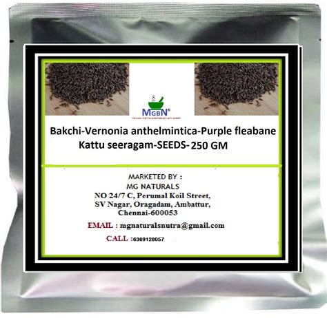 Bakchi-Vernonia anthelmintica-Purple fleabane-Kattu seeragam-SEEDS-250 ...