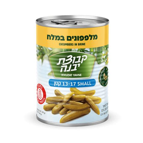 Cucumbers in Brine Small 13-17 – centralkosher.co.uk