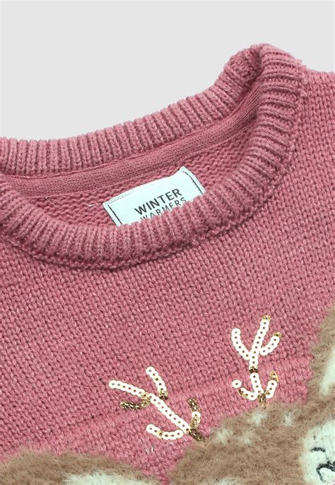 Buy Girls Applique Detail Sweater Online at just Rs. 799.0 ...