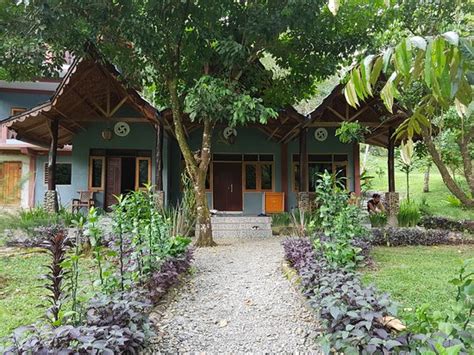 BATU KAPAL GUEST HOUSE (Bukit Lawang, Sumatra) - Tourist Base Reviews ...