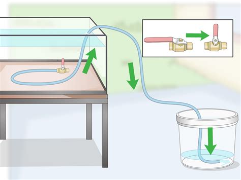 Image result for Siphon