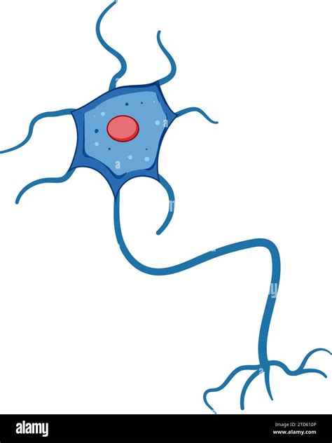 synapse neurons cartoon vector illustration Stock Vector Image & Art ...