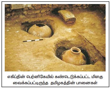 பொருளாதாரம் - தொடக்ககாலத் தமிழ்ச் சமூகமும் பண்பாடும் - வரலாறு | Economy ...