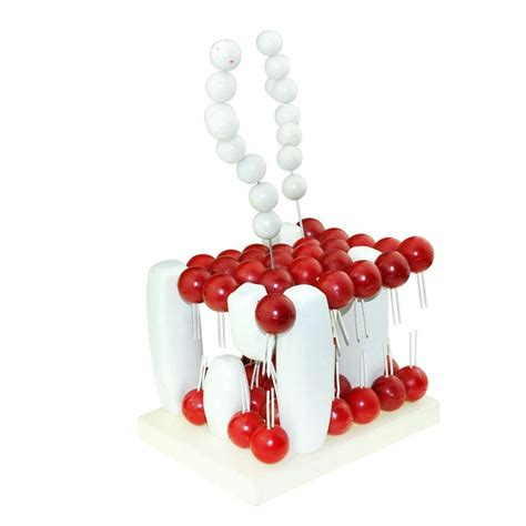 Whp Educational Model Model Of Cell Membrane Biofilm Structure Model ...