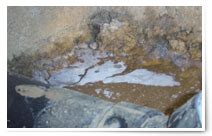 Image result for Mold Testing Santa Barbara