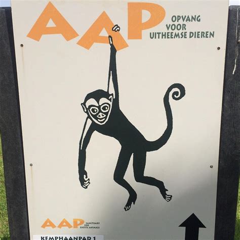 STICHTING AAP (2025) All You Need to Know BEFORE You Go (with Photos ...