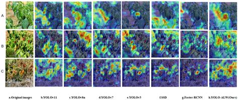 YOLO-ALW: An Enhanced High-Precision Model for Chili Maturity Detection