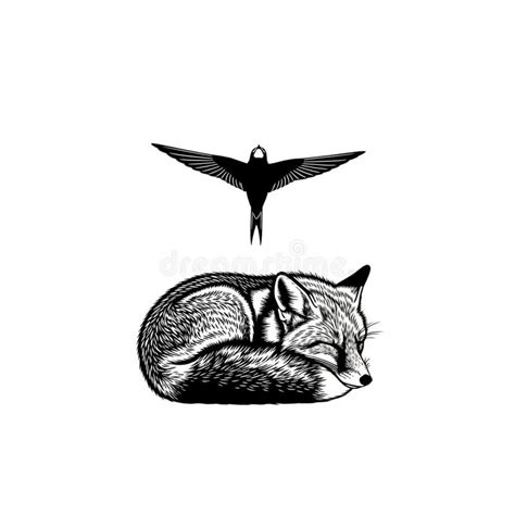 Image result for Programming Languages Syllabus