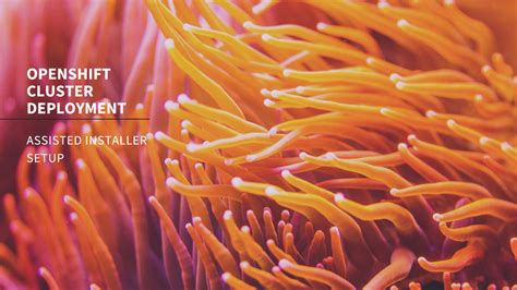 Image result for Single Node OpenShift