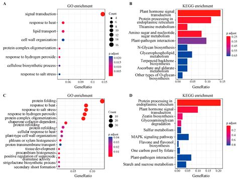 Weighted Gene Co-Expression Network Analysis Reveals Key Pathways and ...