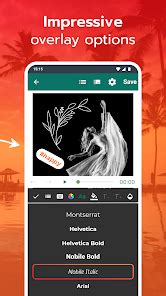 Image result for Free Video Editor with Overlay