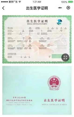 侨胞们这些证件有了电子版 申领方式看过来-中国侨网