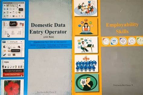 NCERT Domestic Data Entry Operator & Employability Skills Textbook For ...