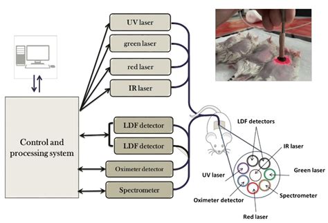 Methods of Non-Invasive In Vivo Optical Diagnostics in the Assessment ...