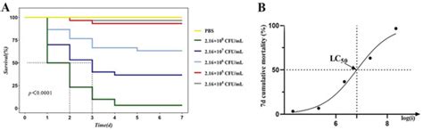 Genomic and Transcriptomic Profiling of a Highly Virulent Plesiomonas ...