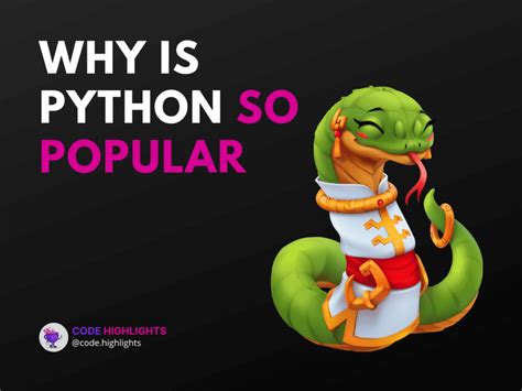 Why Is Python so Popular 的图像结果