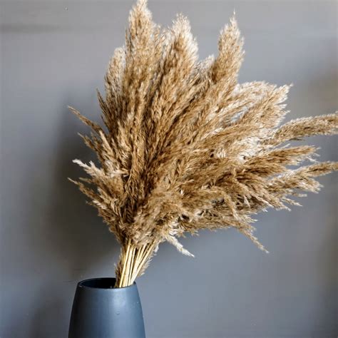 Dried Natural Pampas Grass Bunch (20 Strands) – Orange Skies