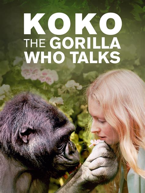Prime Video: Koko: The Gorilla Who Talks