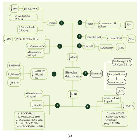 Characteristics, Occurrence, Detection and Detoxification of Aflatoxins ...