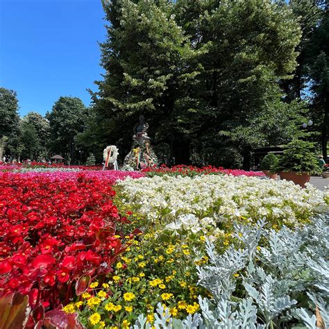 COPOU PARC (GRĂDINA COPOU) (2025) All You Need to Know BEFORE You Go ...