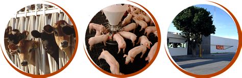 MUMA Logo 的图像结果