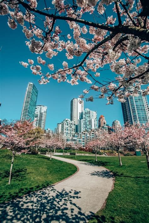 Image result for "spring '