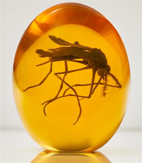 Amazon.com: VEOJEIN Jurassic Mosquito in Amber | Durable Resin Encased ...