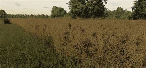 Image result for LS22 Texturen Mod