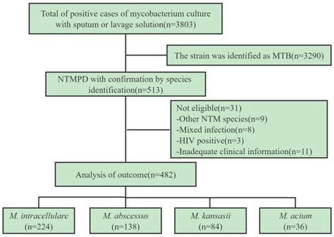 Clinical Features of Nontuberculous Mycobacterial Pulmonary Disease in ...