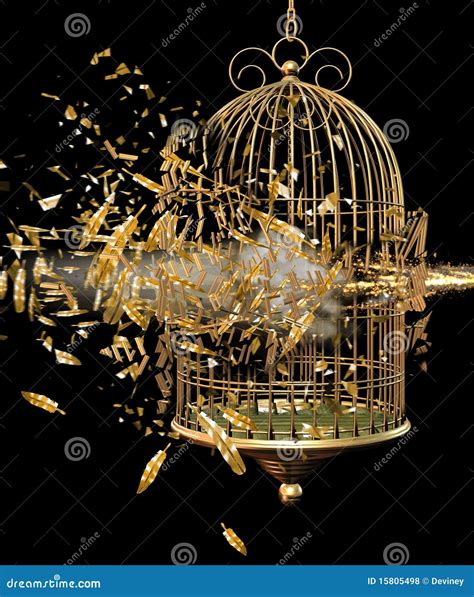 Image result for Exploding Bird