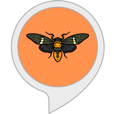 Amazon.in: Cicada sound : Alexa Skills