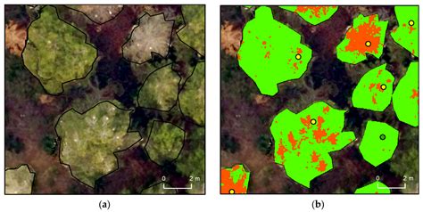 Assessing Pine Processionary Moth Defoliation Using Unmanned Aerial Systems