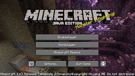 Image result for Minecraft Java 1.17.10 Download