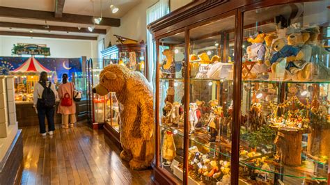 Bear Museum Naples Teddy