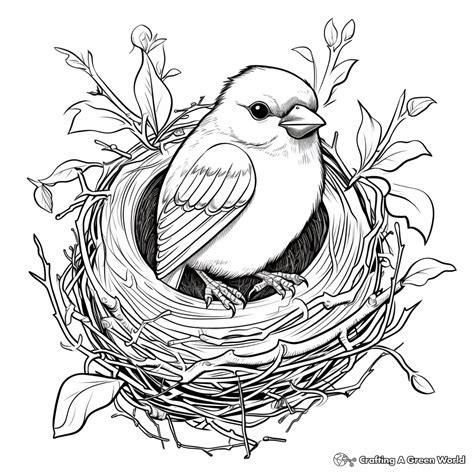 Bird Nest Coloring Pages - Free & Printable!