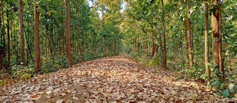 Bengal: Jangalmahal's Poor Tribal Villages Excluded From PMAY En Masse ...