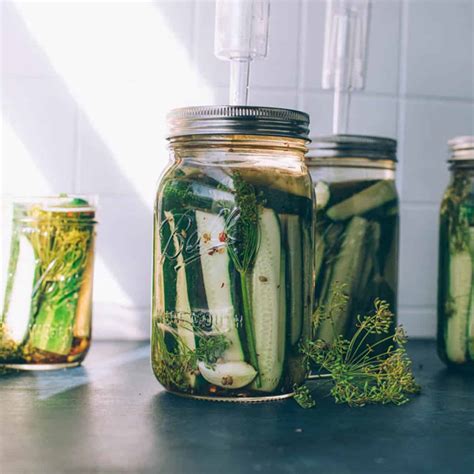 Probiotic Pickle Recipe | Besto Blog