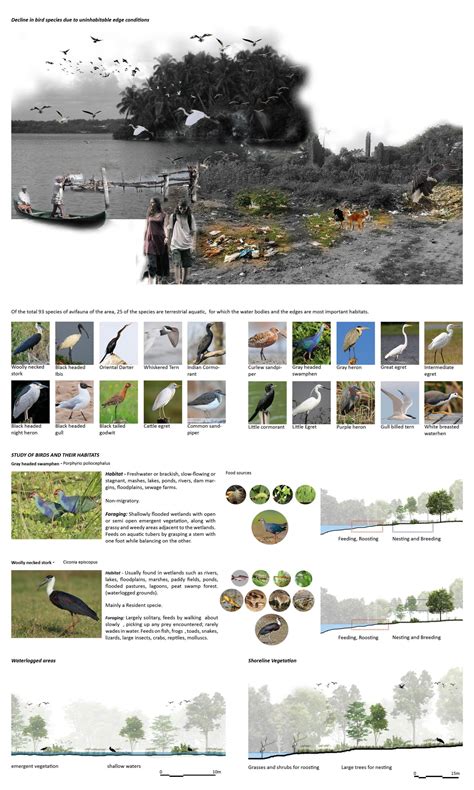 Calling back the birds | CEPT - Portfolio