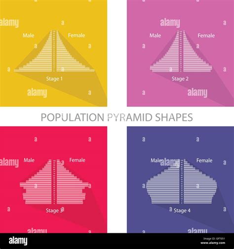 Population and Demography, Illustration Set of Four Stages of ...