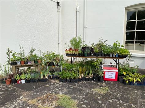 Plant Sale, Old Llangattock Farm, Llangattock Vibon Avel, Monmouth ...