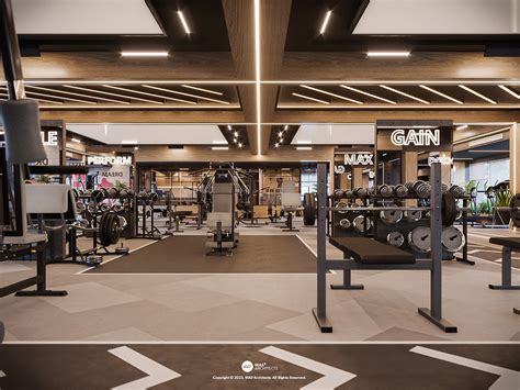 Image result for Gym Normal Distribution Example