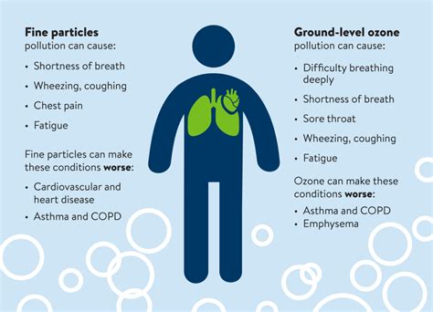 Environmental Quality 的图像结果