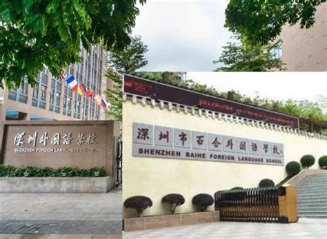 深圳外国语学校和百合外国语学校哪个更好(区别对比)_小升初网