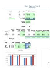 Image result for Excel Capstone Project Level 2