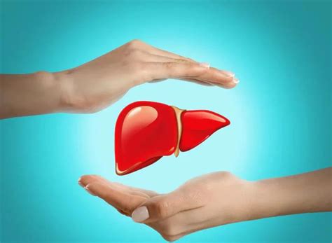 Top 6 Liver Detoxification Foods That Actually Work (Backed by Science ...